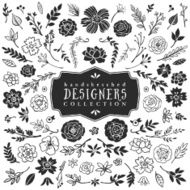 Vintage decorative plants and flowers collection