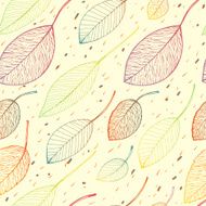 autumn leaf background N10