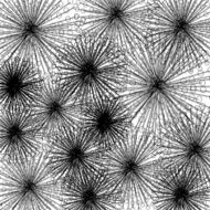 abstract black and white line pattern background N3