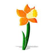 cartoon daffodil N20