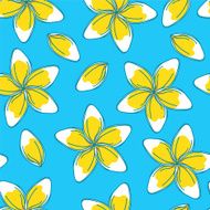 Sketchy Frangipani Flowers Seamless Pattern N3