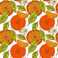 Orange fruits seamless pattern N2