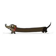 Cartoon Dachshund N16