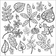 Set Decorative Autumn leaves berries acorns N2