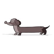 Cartoon Dachshund N17
