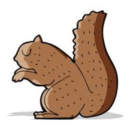 Cartoon Squirrel N58