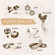 Vegetables herb and roots N5