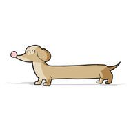 Cartoon Dachshund N19