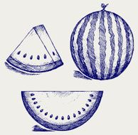 Whole and slices of watermelon