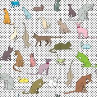 Cats pattern N9