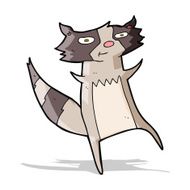 Cartoon Raccoon N45