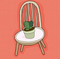 Cactus Plant on Chair