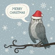 Christmas Owl N3