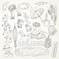 Autumn N21