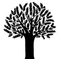 tree silhouette N12
