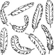 Feathers N2