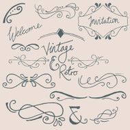 A vintage hand drawn ornate design elements