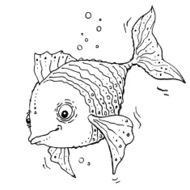 Fish N15