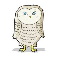 Cartoon Owl N237