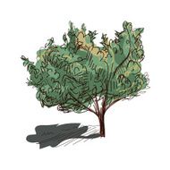 doodle tree N2