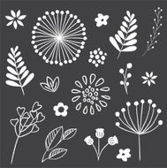 Chalkboard Floral and Leaf Elements Set N2