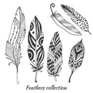 Hand drawn stylized feathers vector collection Set of tribal