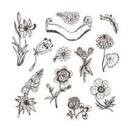 Wildflowers Vector set of Hand Drawn Doodles flowers and banner