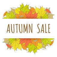 Autumn sale label with hand drawn fallen leaves