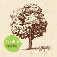 Sketch ecology vintage background Hand drawn vector illustratio N14