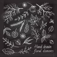 Vector chalk herbal elements set