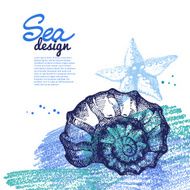 Seashell background Sea nautical design Hand drawn sketch and N2