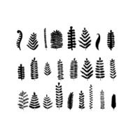 Leaf set sketch for your design