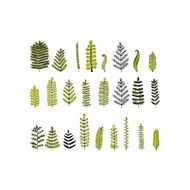 Leaf set sketch for your design N2
