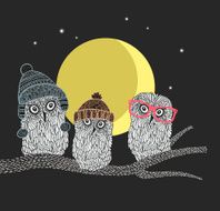 Three owl friends on the tree in night forest