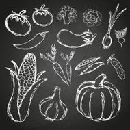 simple hand drawn doodle vegetables on black board eps10