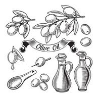 Hand Drawn decorative vector olive set