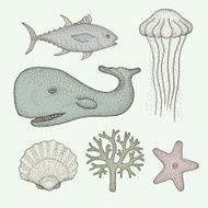 sea life N15