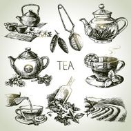 Hand drawn sketch vector tea set N23