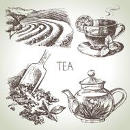 Hand drawn sketch vector tea set N24