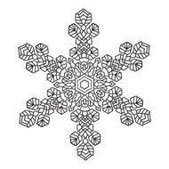 Hand-drawn doodles natural snowflake mandala style N4