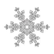 Hand-drawn doodles natural snowflake mandala style N6