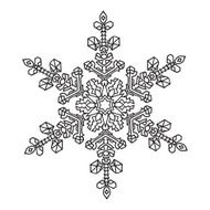 Hand-drawn doodles natural snowflake mandala style N8