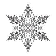 Hand-drawn doodles natural snowflake mandala style N9