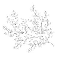 Vector Beautiful Monochrome Contour Leaf N2