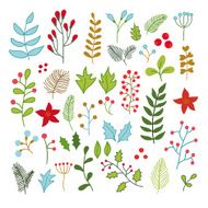 Vector collection of winter Christmas florals ans flowers