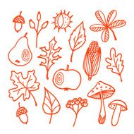 Set of autumn fall elements various leaves fruits vector