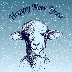 Sheep illustration with snowflake
