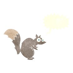 funny startled squirrel cartoon with speech bubble N11