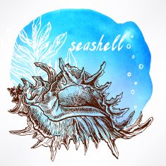 background with seaweed and shell - 2