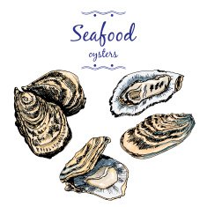 oysters N2